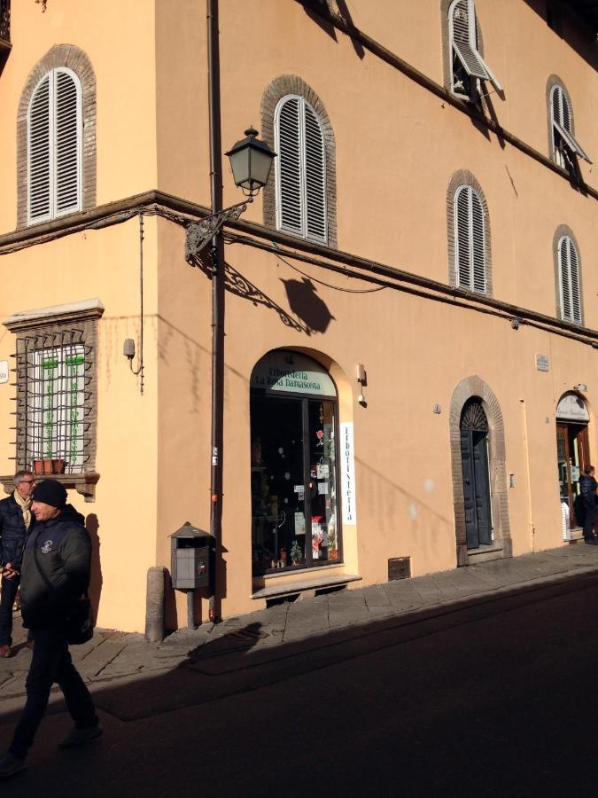 Serena * Lucca